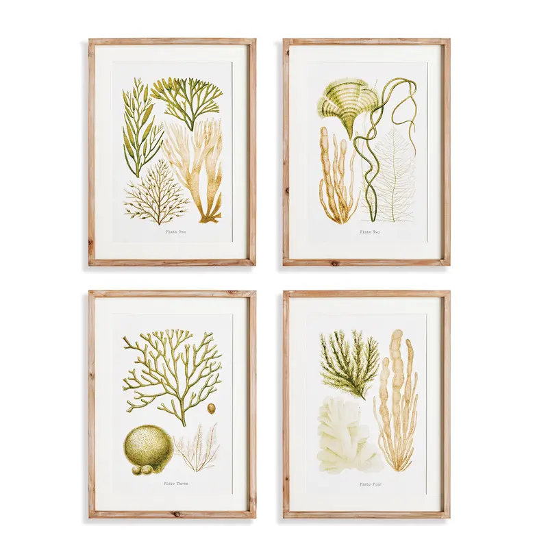 NAPA Home & Garden, VERDANT CORAL STUDY, SET OF 4,N4NH10