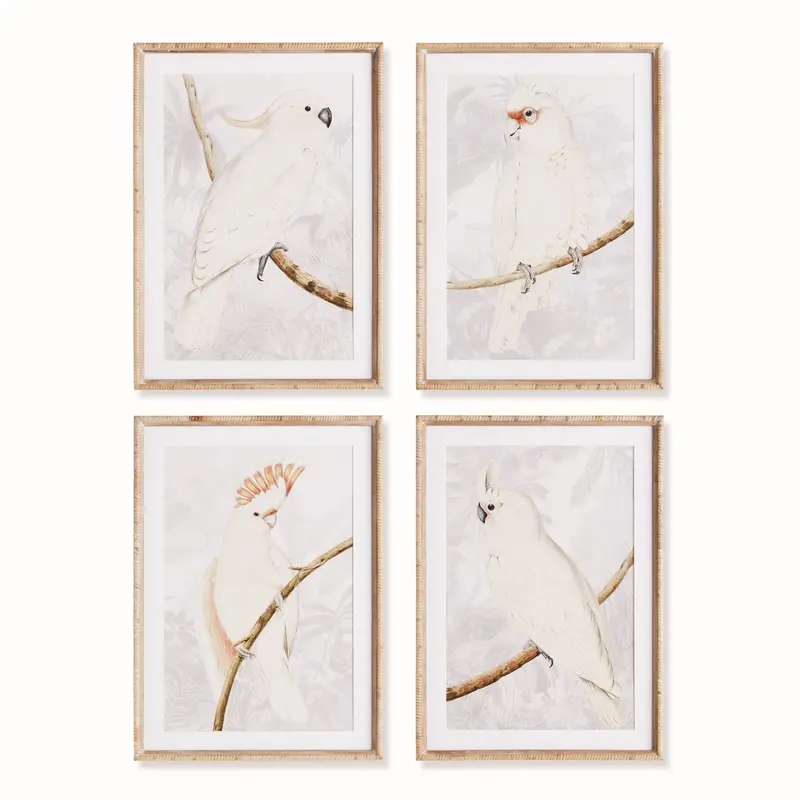 NAPA Home & Garden, WHITE COCKATOO PRINTS, SET OF 4,N4NH28