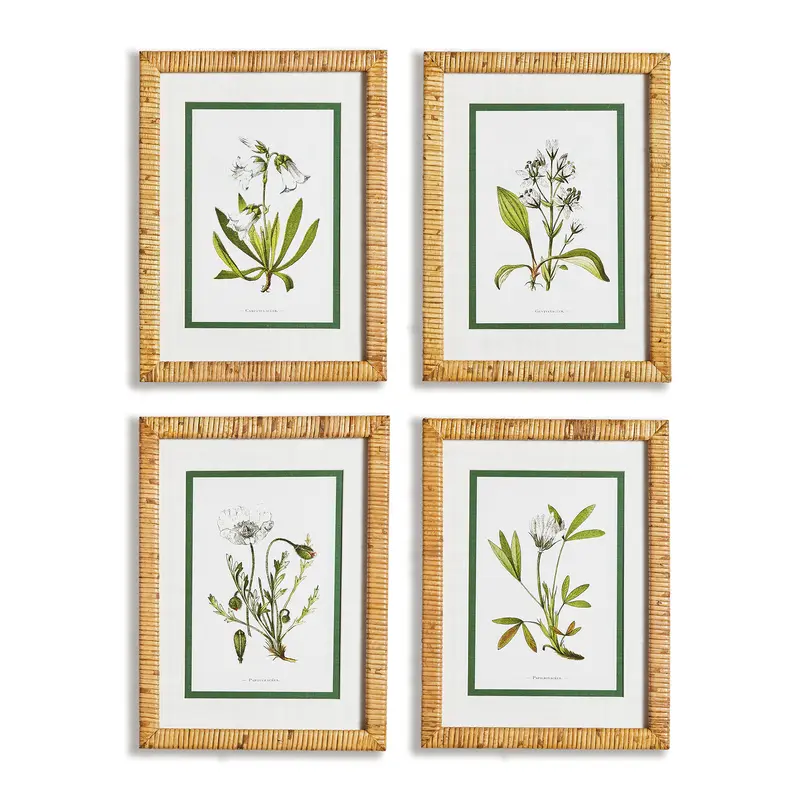 NAPA Home & Garden, WHITE FLORAL STUDY, SET OF 4,N2NH20