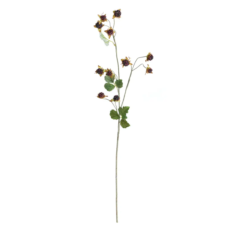 NAPA Home & Garden, WILD BLACKBERRY STEM 31",TP415