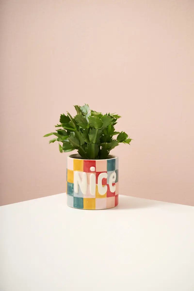 Naughty or Nice Pot Set of 4 By Accent Decor