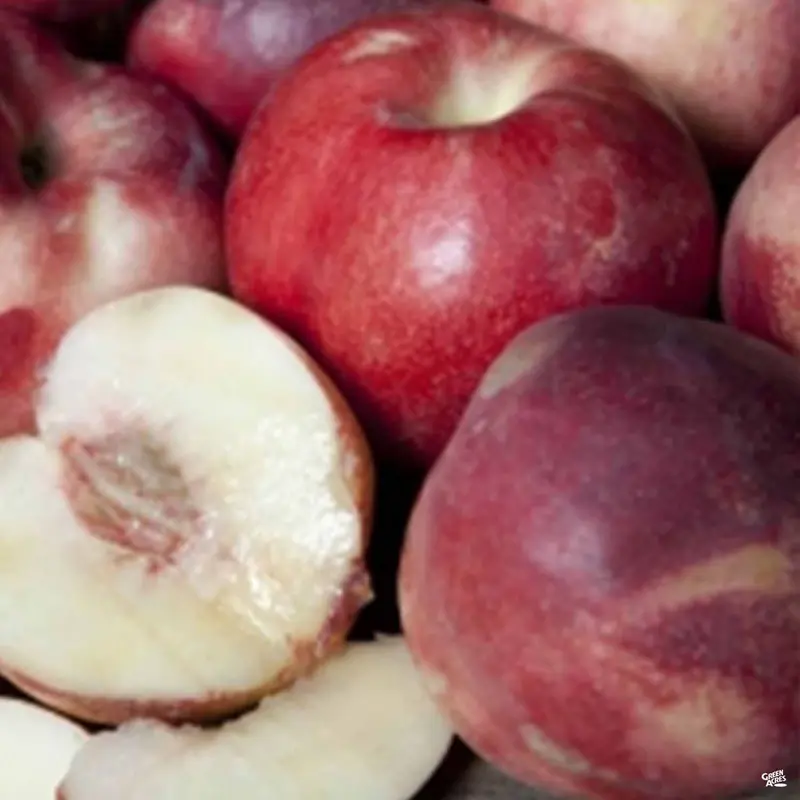 Nectarine 'Arctic Star' Bareroot