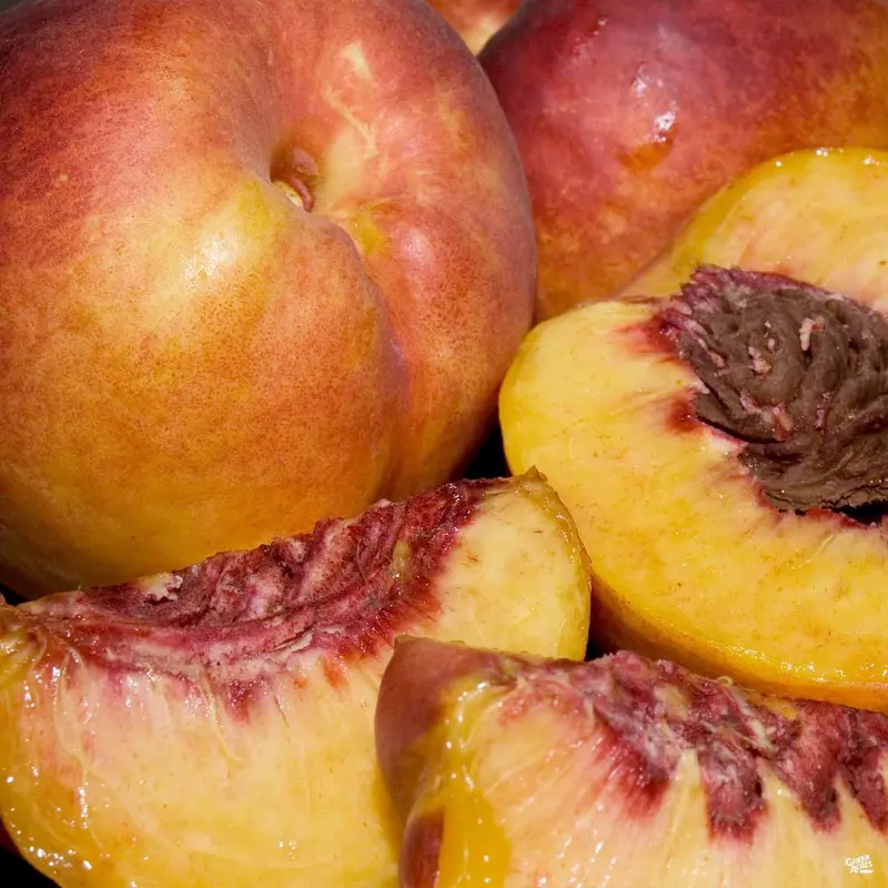 Nectarine 'Fantasia' Bareroot
