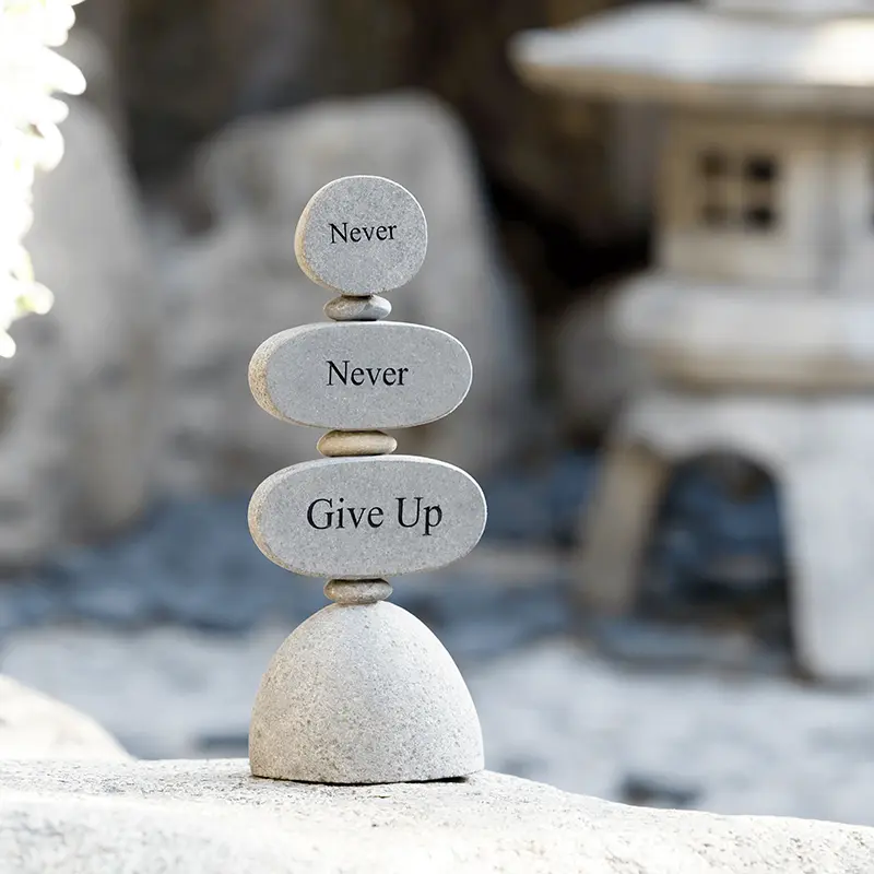 Never Never Give Up Set of 2 By Garden Age Supply