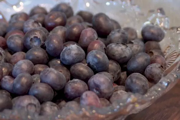 Northcountry Blueberry