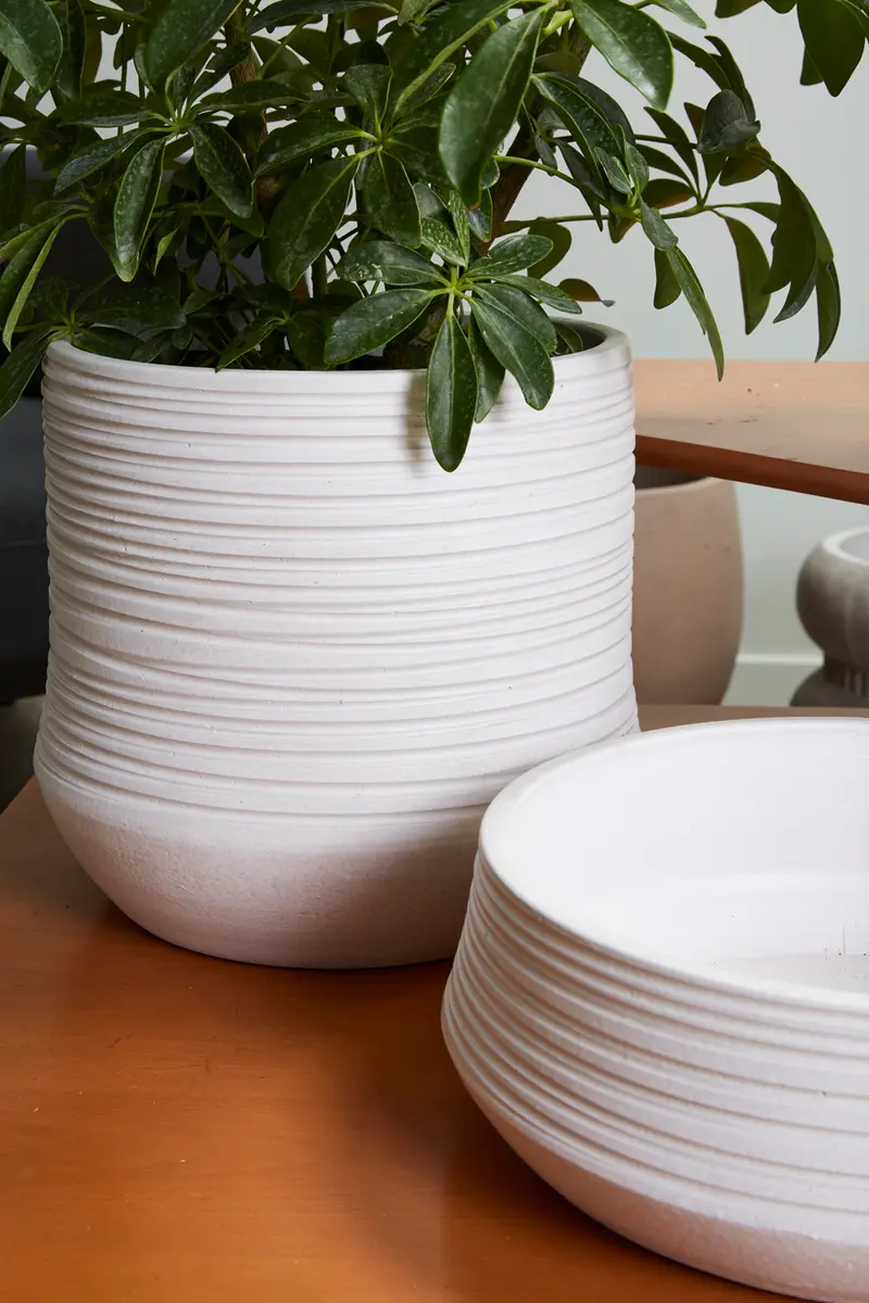 Offshore Collection Set of 2 By Accent Decor
