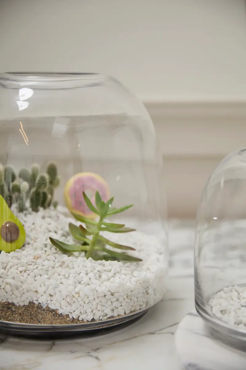Oliver Terrarium Set of 4 By Accent Decor