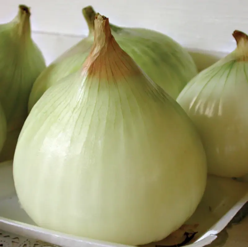 Onion Bunches Assorted (Organic)