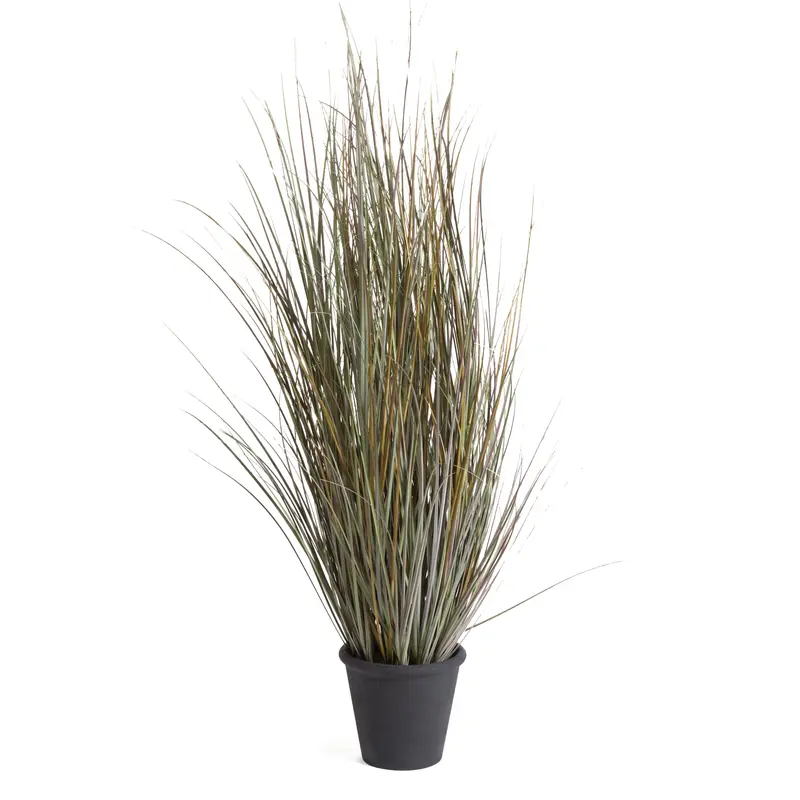 Ornamental Grass Potted 49"