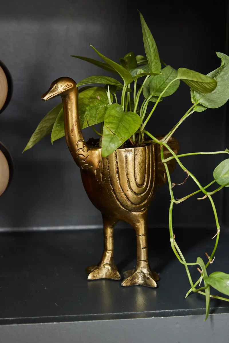 Ostrich Pot Set of 2 By Accent Decor