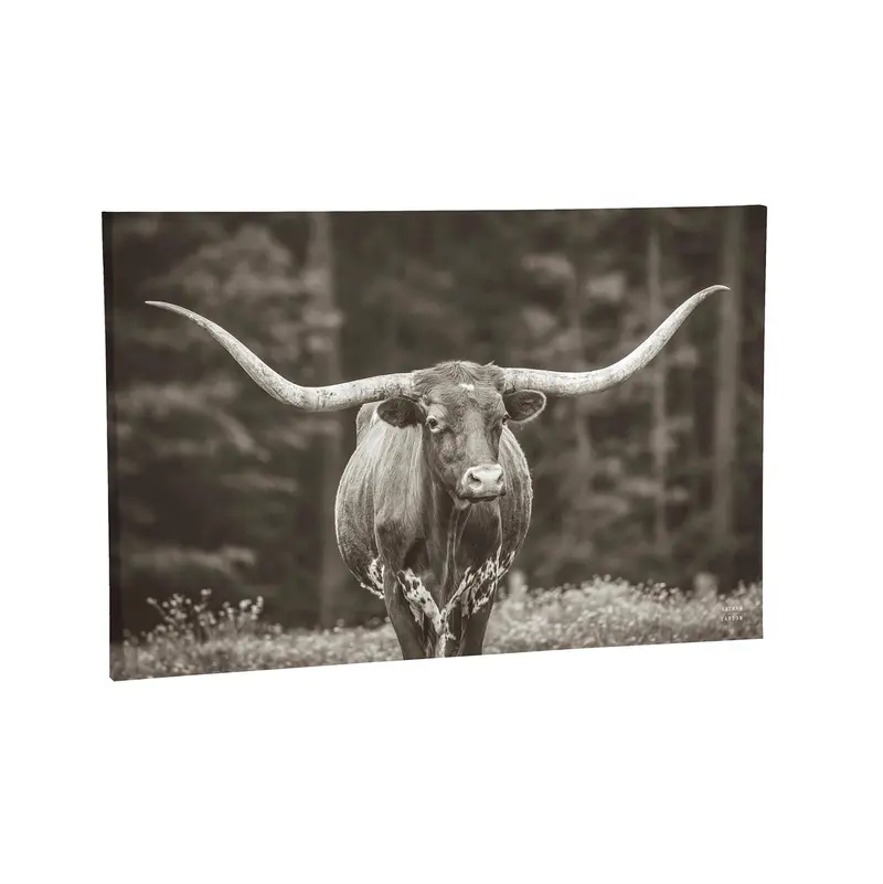 Outdoor Canvas Wall D√©cor, Longhorn, 36" L x 24" H