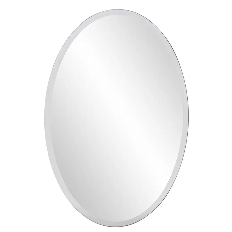 Oval Shaped Frameless Mirror By Homeroots
