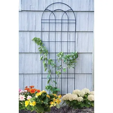 Panacea 72" Classic Trellis