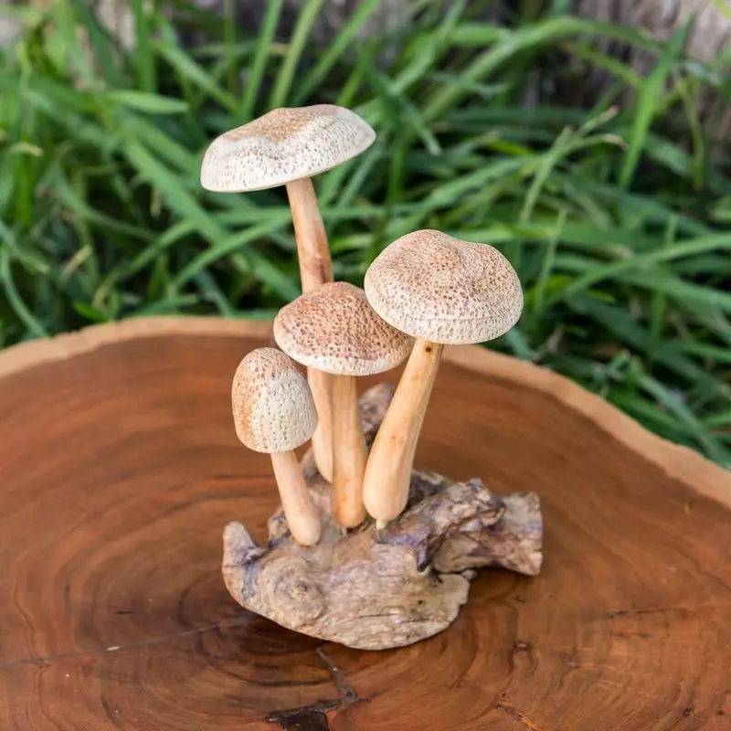 Parasite Beech Mushrooms Set of 4 By Garden Age Supply