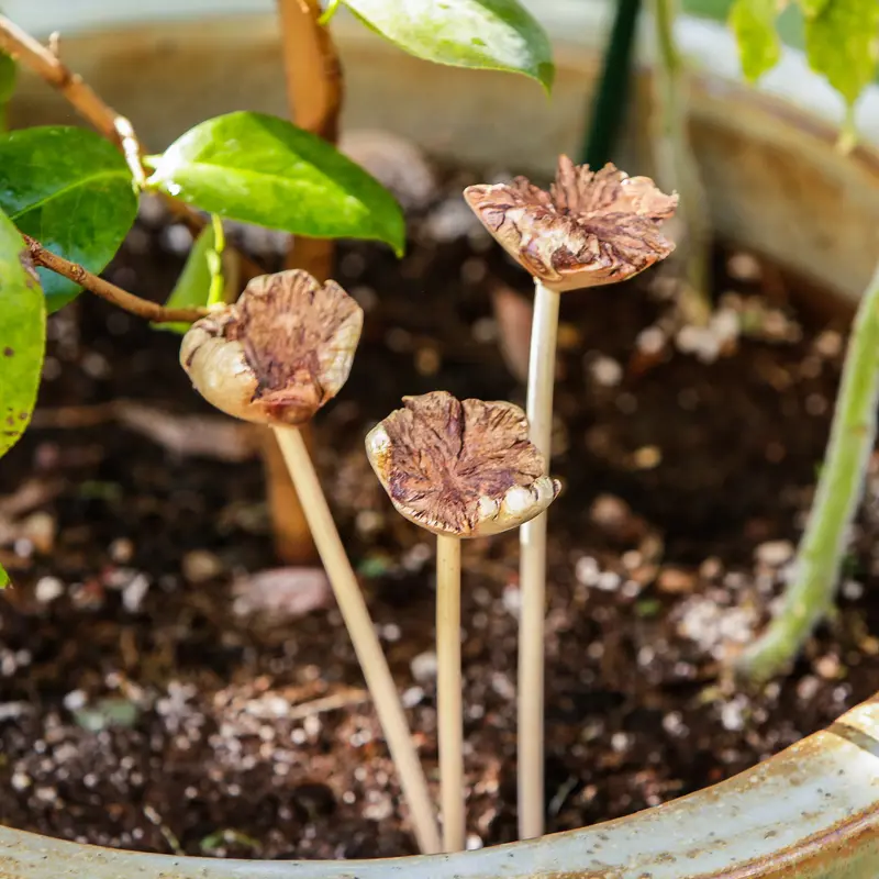 Parasite Flower Pot Stake - Pack of 12 Set of 3 By Garden Age Supply