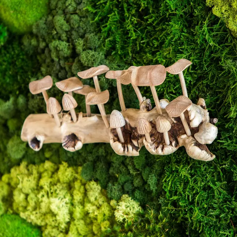 Parasite Oyster Mushrooms on Wall (Horizontal) Set of 2 By Garden Age Supply