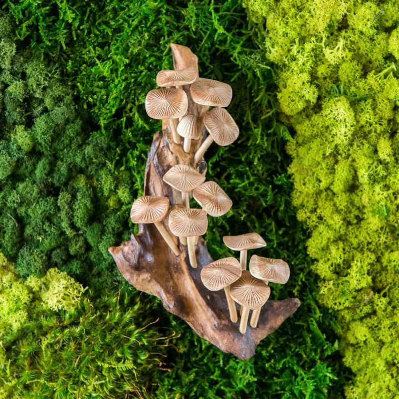 Parasite Oyster Mushrooms on Wall (Vertical) Set of 2 By Garden Age Supply