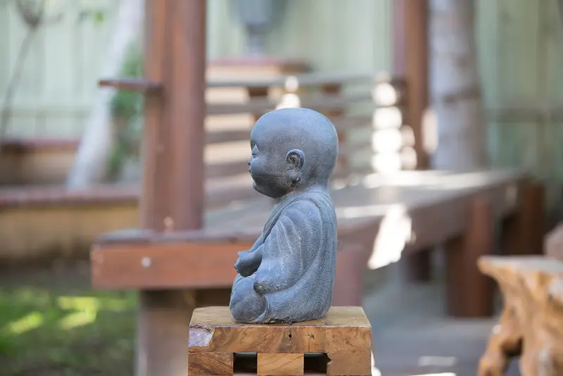 Peaceful Shaolin Monk Set of 2 By Garden Age Supply