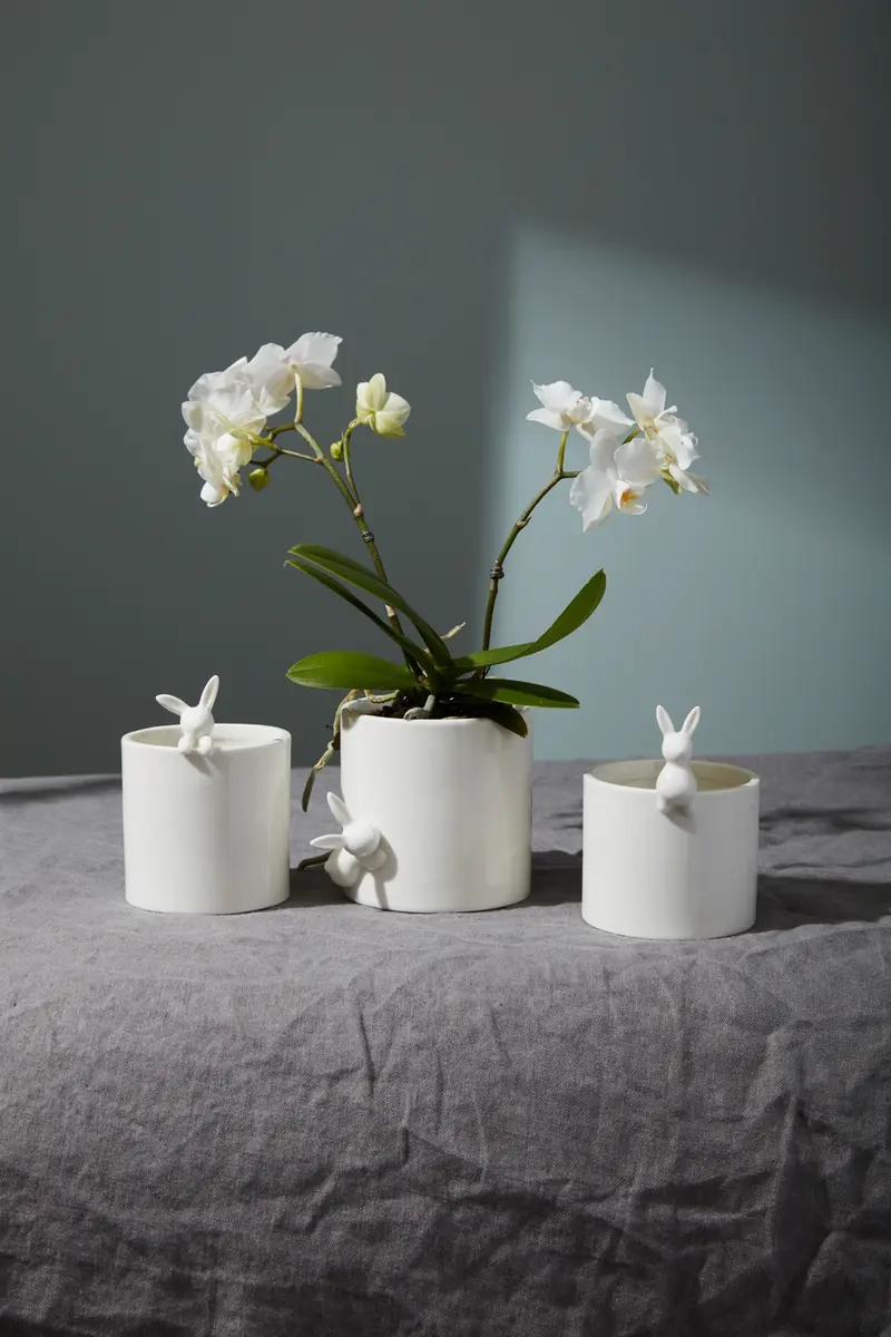 Peeking Bunny Pots Set of 6 By Accent Decor