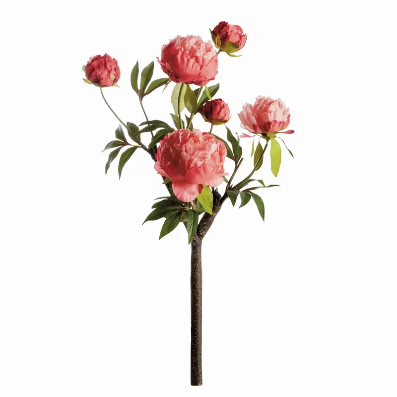 PEONY BRANCH