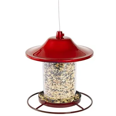 Perky Pet Panorama Feeder