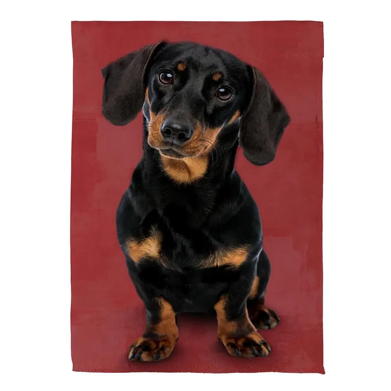 Pet Central Photo Dogs, Dachshund Suede House Flag
