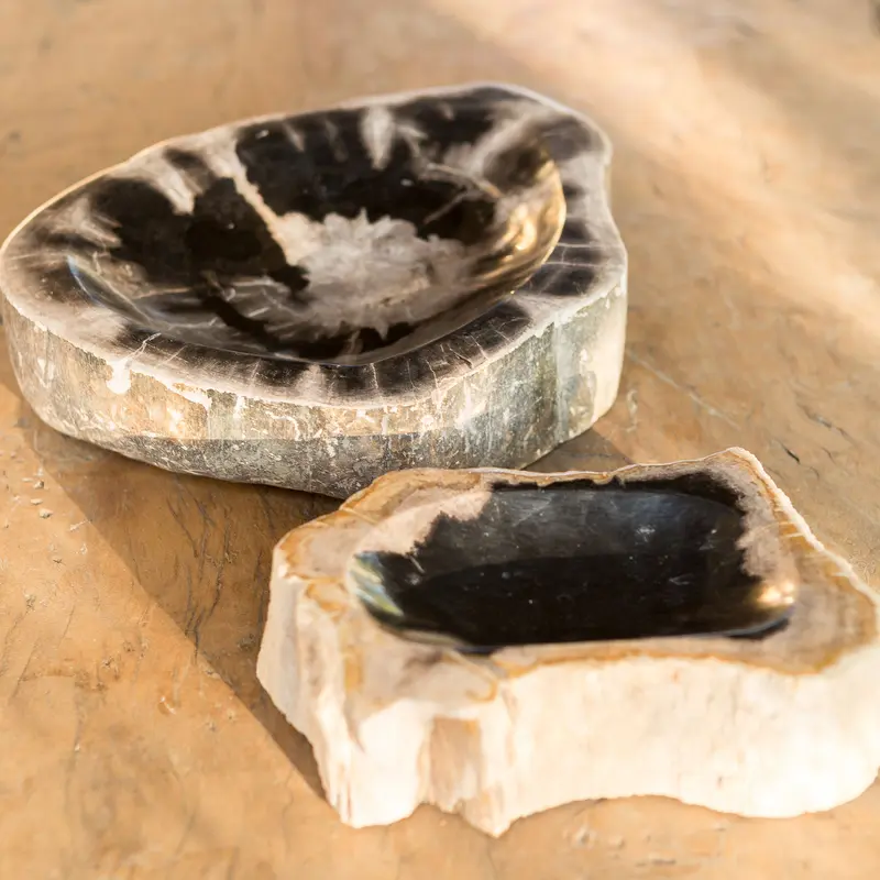 Petrified Wood Bowl Set of 2 By Garden Age Supply