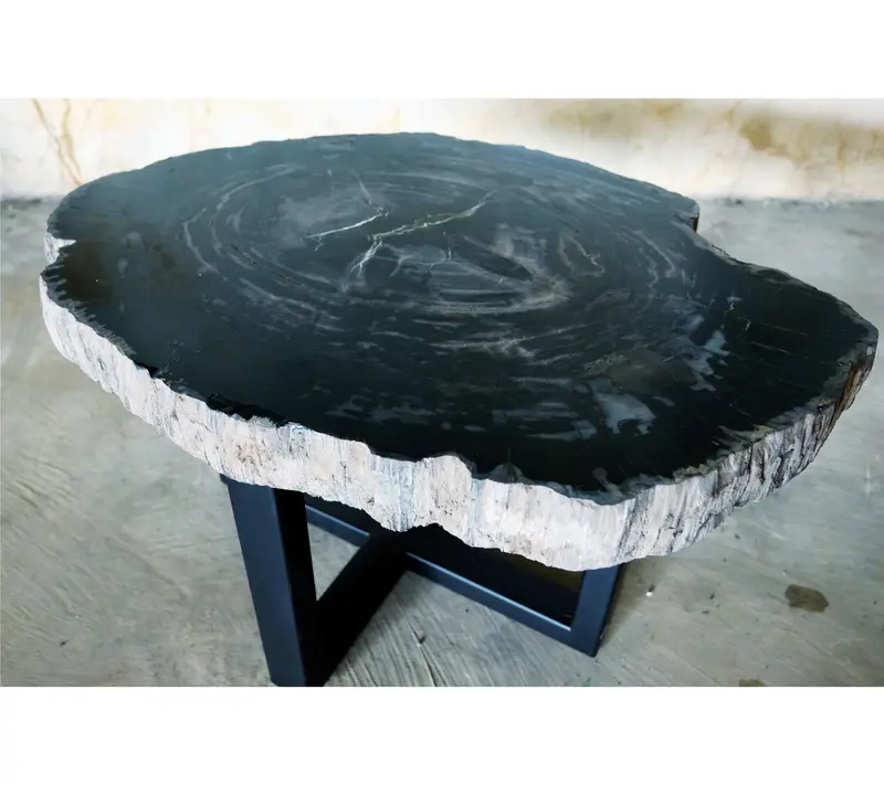 Petrified Wood Jumbo Slab Coffee Table with metal legs- 34.5in x 25in