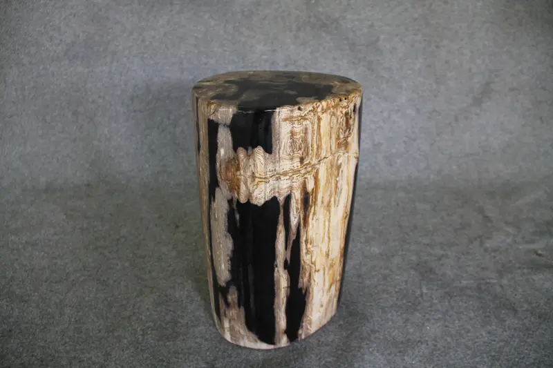 Petrified Wood Log Stool 10 in x 10 in x 16.5in (h) - DV.1.112