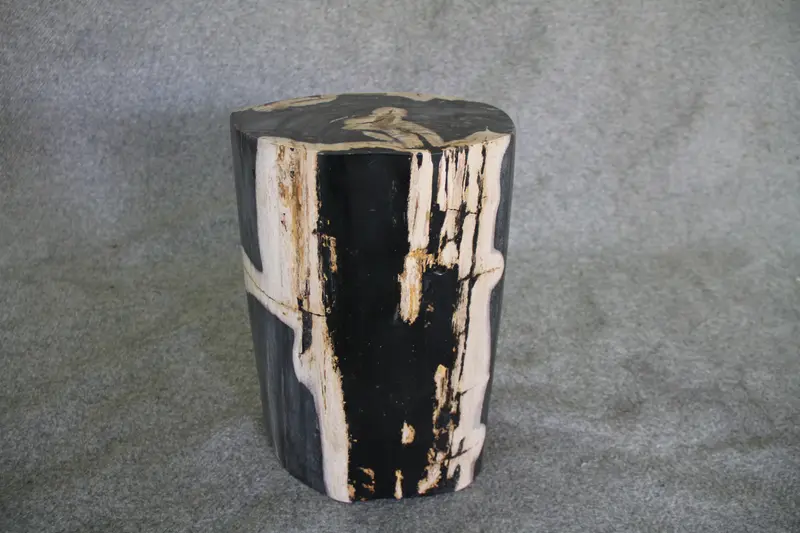Petrified Wood Log Stool 11in x 8in x 16in (h) - 1687.21