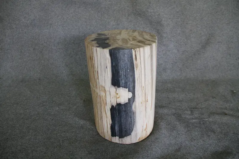 Petrified Wood Log Stool 16in (h) x 13in x 11in - DV.1.175