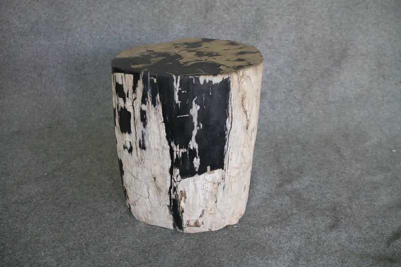 Petrified Wood Log Stool 16in (h) x 14in x 13in - 190.22