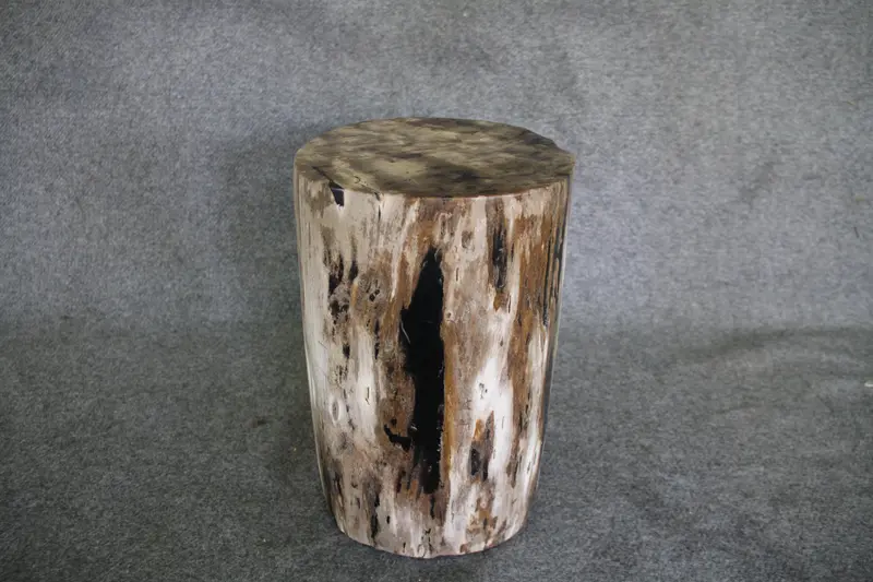 Petrified Wood Log Stool 16in x 11in x 10in - DV.161