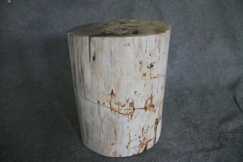 Petrified Wood Log Stool 18in (h) x 14in x 12in - 1803.22