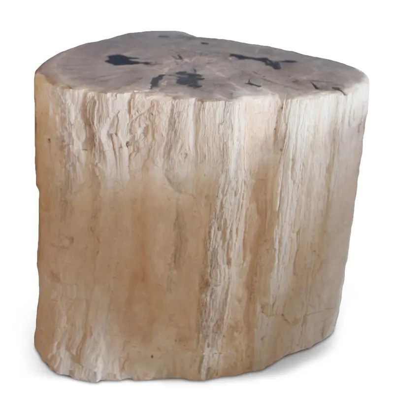 Petrified Wood Log Stool PF-2034 by Aire Furniture