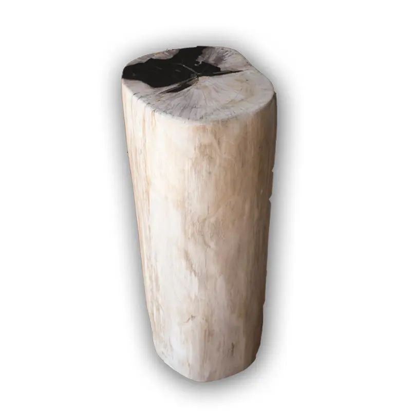 Petrified Wood Log Stool PF-2103 by Aire Furniture