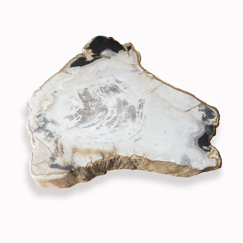 Petrified Wood Slab With Custom Made Base PF-1104 by Aire Furniture