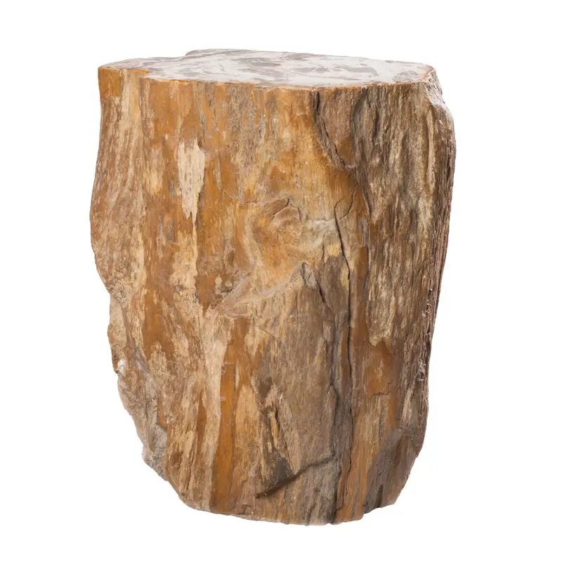 Petrified Wood Stool -18"(H) x 14" x 10"- PF1010