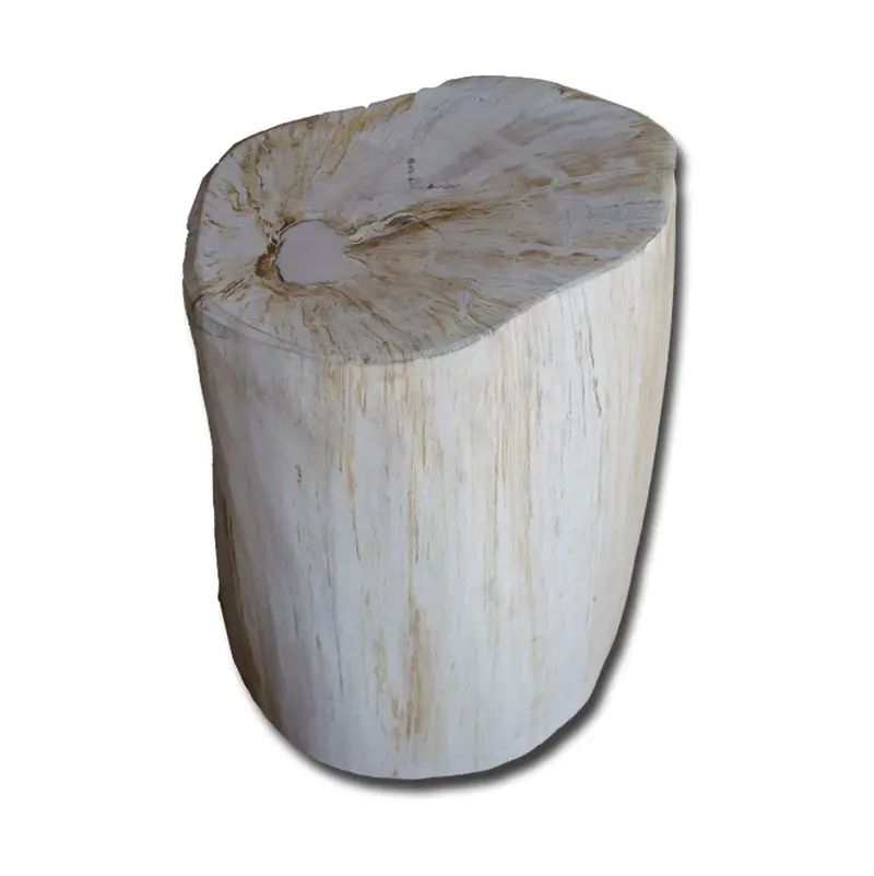 Petrified Wood Stool PF-2145 by Aire Furniture