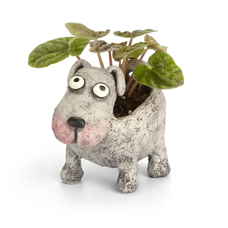 Petunia Dog Planter