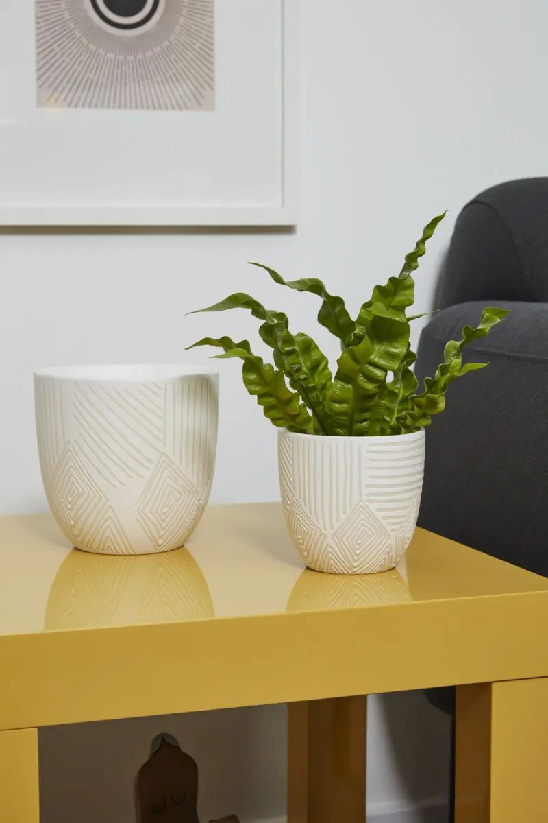 Pfiefer Pot Set Of 4 By Accent Decor