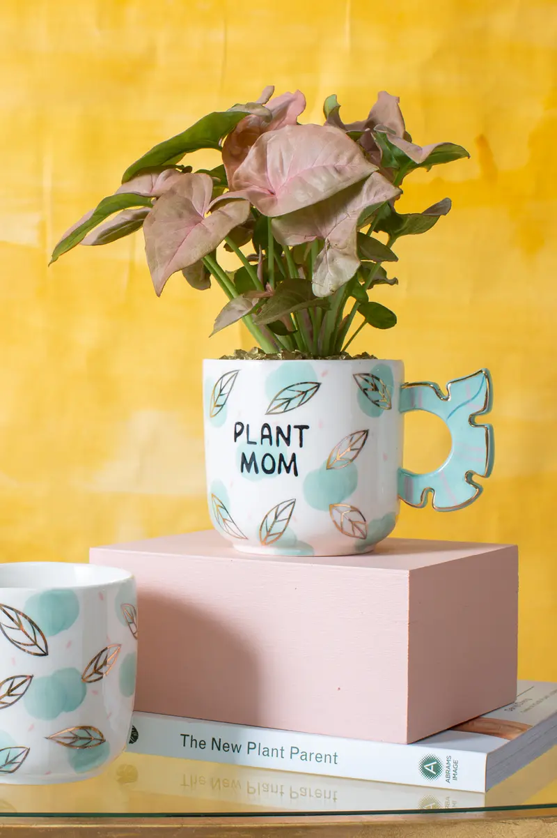 Plant Mom Mug Set of 4 By Accent Decor