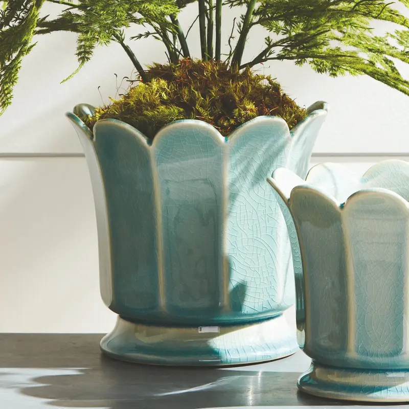 "Plumosa Fern Drop-In by NAPA Home & Garden"