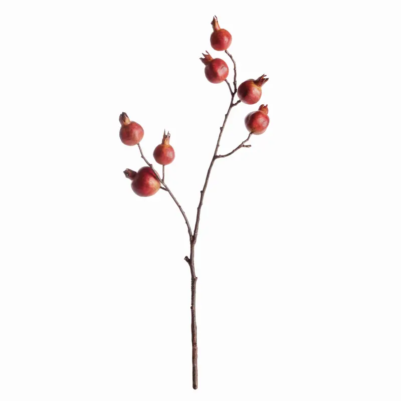 POMEGRANATE BRANCH 21.5"