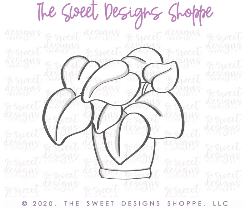 Pothos House Plant - Cookie Cutter