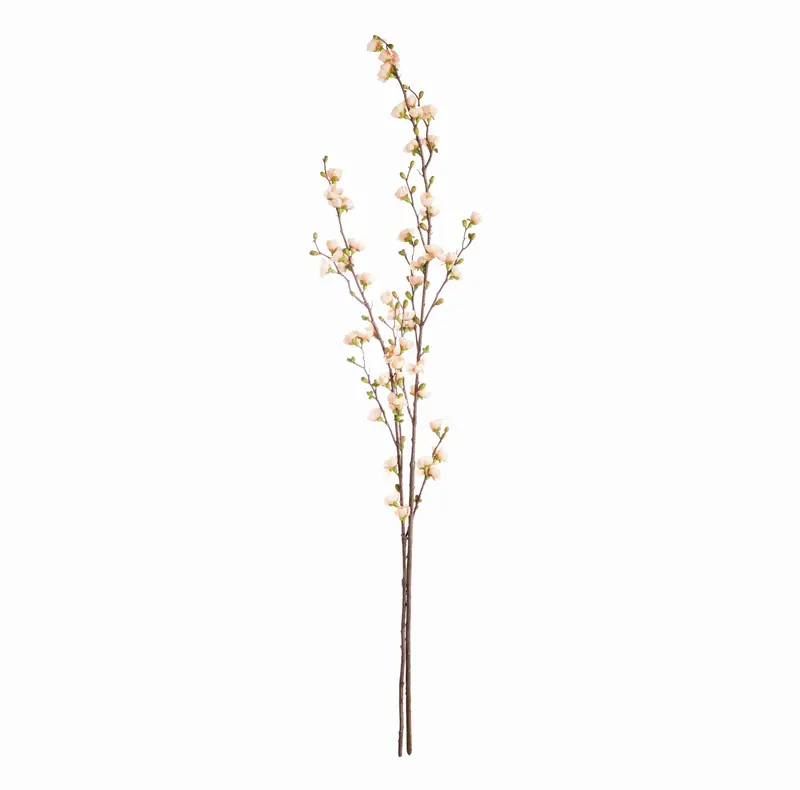 Quince Blossom Branches, Bundle Of 2