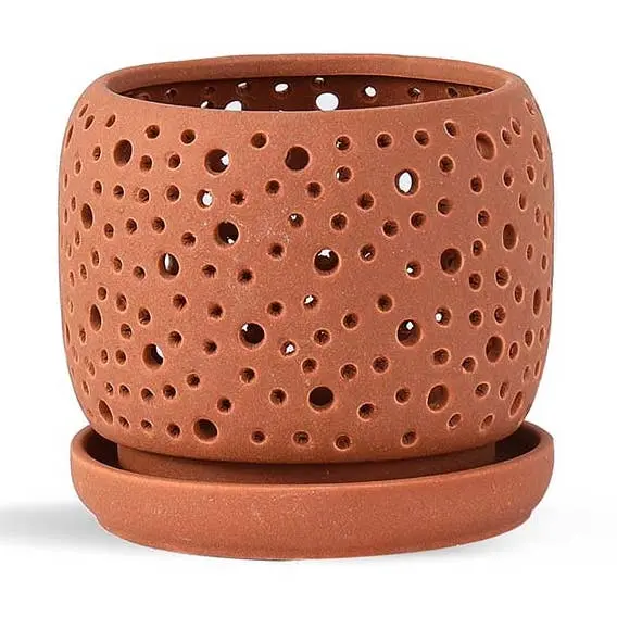 Rain Drop Orchid Planter