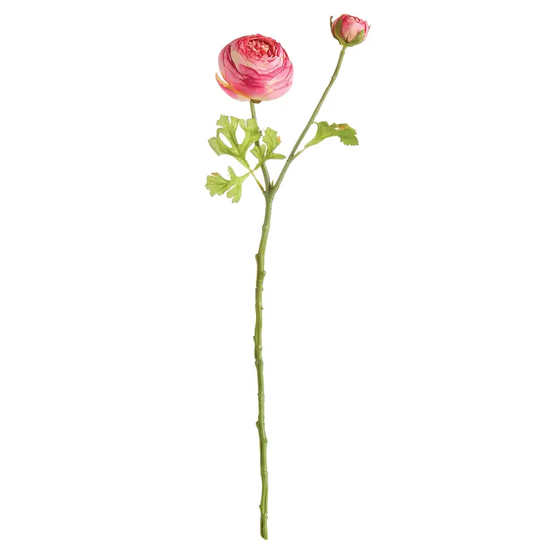 Ranunculus Stem 21"