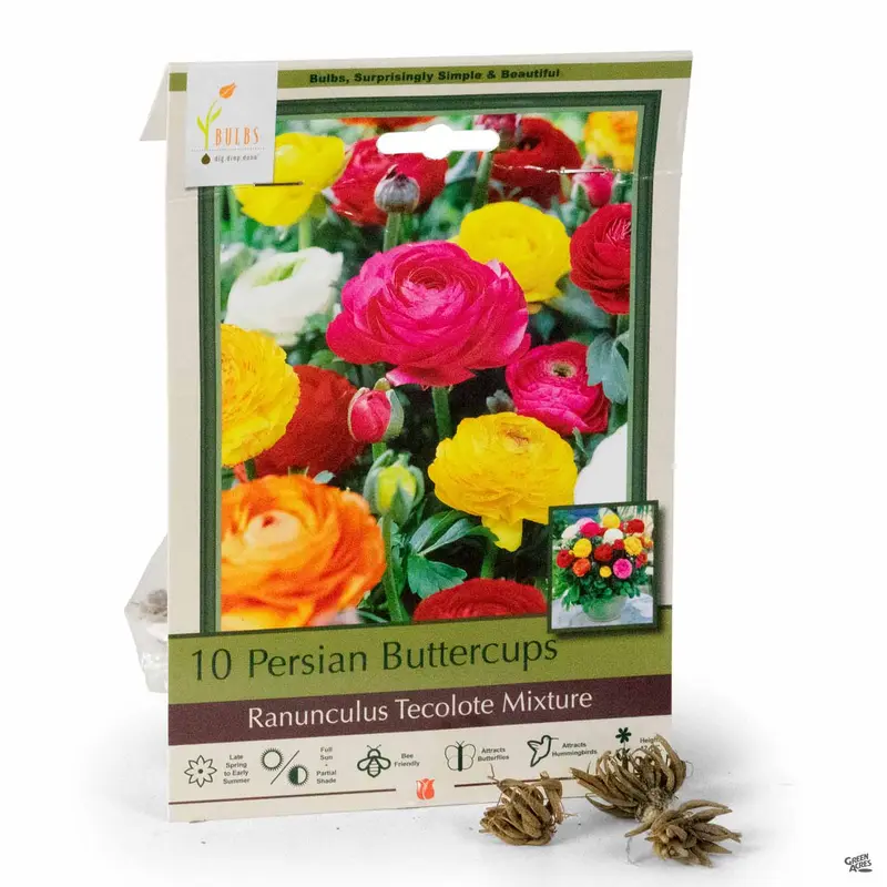Ranunculus 'Tecolote' Mix