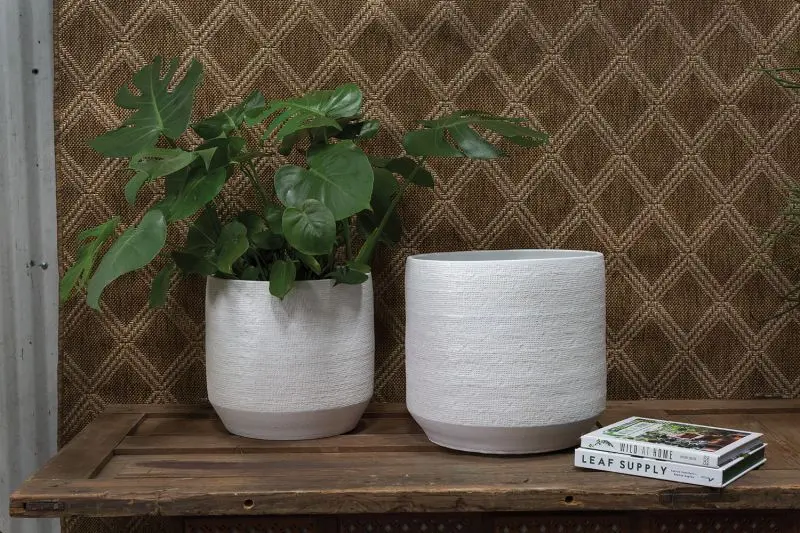 Ray Pot By Accent Decor